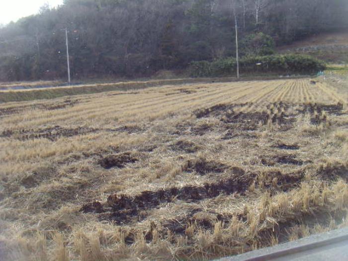 전라남도 진도군 고군면 석현리 451 대지 경매 사진 20