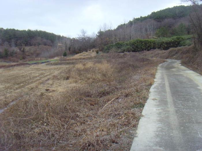 전라남도 진도군 고군면 석현리 894-3 답 경매 사진 7