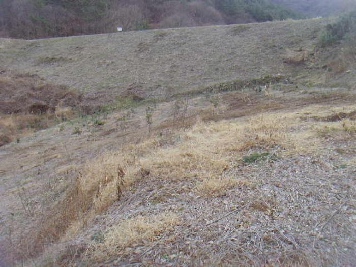 전라남도 진도군 고군면 석현리 894-3 답 경매 사진 8