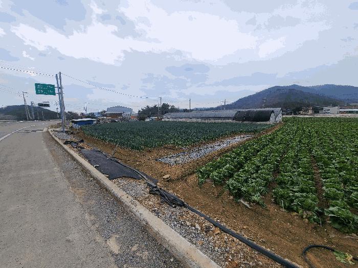 전라남도 진도군 고군면 지막리 833 전 경매 사진 8