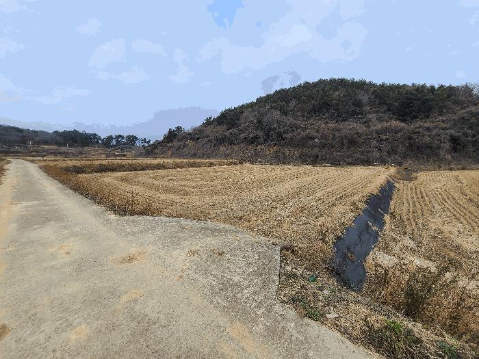전라남도 진도군 고군면 지막리 954 전 경매 사진 18