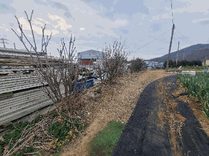 전라남도 진도군 고군면 지막리 1773-14 답 경매 사진 9