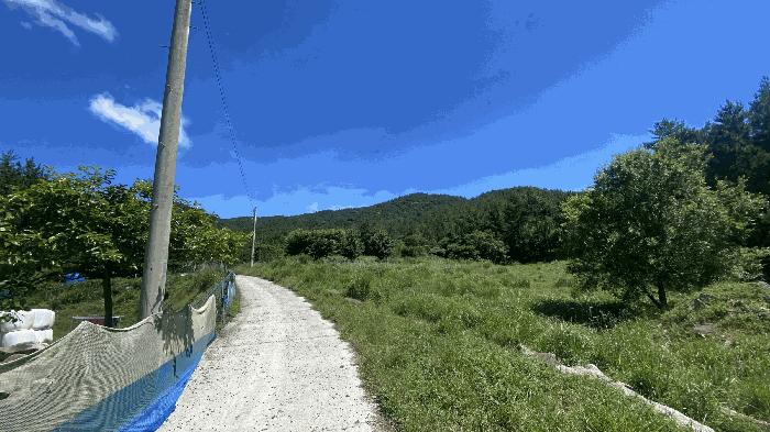 전라남도 완도군 약산면 우두리 산62 임야 경매 사진 1