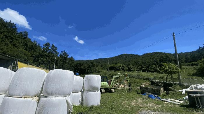전라남도 완도군 약산면 우두리 산62 임야 경매 사진 2