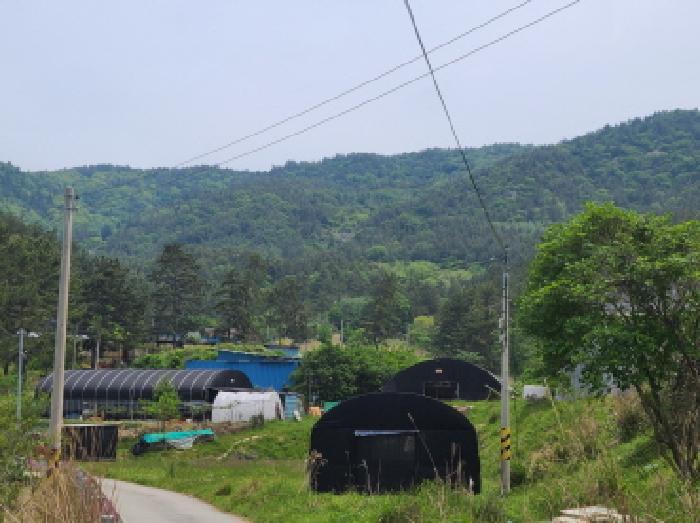 전라남도 완도군 약산면 우두리 산62 임야 경매 사진 4