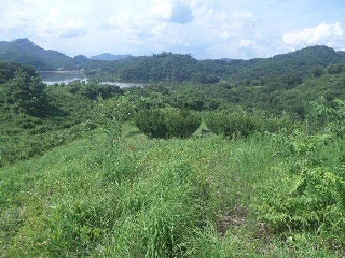 전북특별자치도 전주시 완산구 동완산동 178-1 주택 경매 사진 5