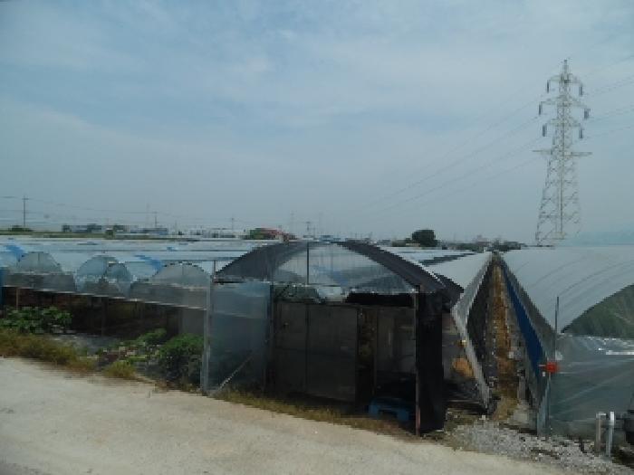 전북 김제시 답