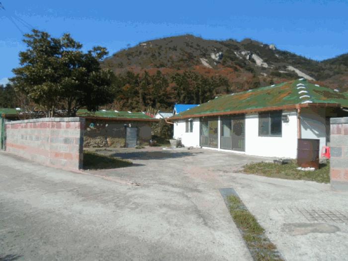 전라남도 진도군 조도면 신육리 산13 임야 경매 사진 1