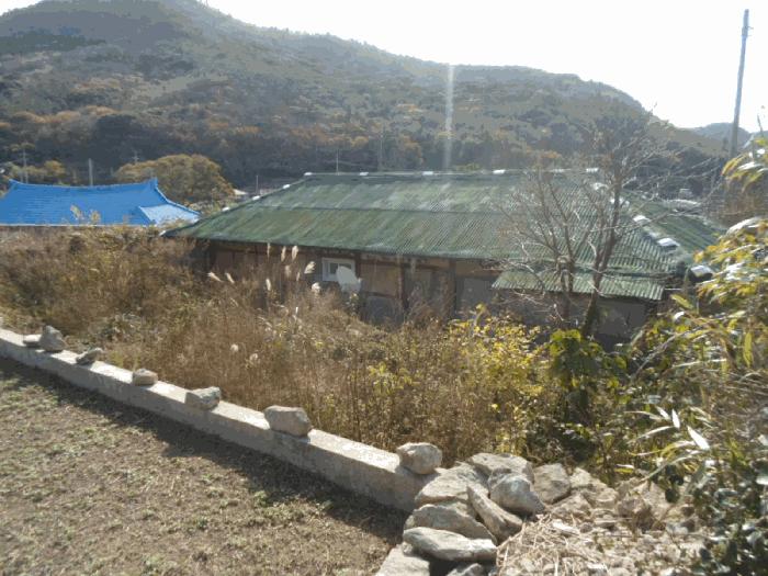 전라남도 진도군 조도면 신육리 산13 임야 경매 사진 10
