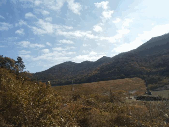 전라남도 진도군 조도면 신육리 산13 임야 경매 사진 16