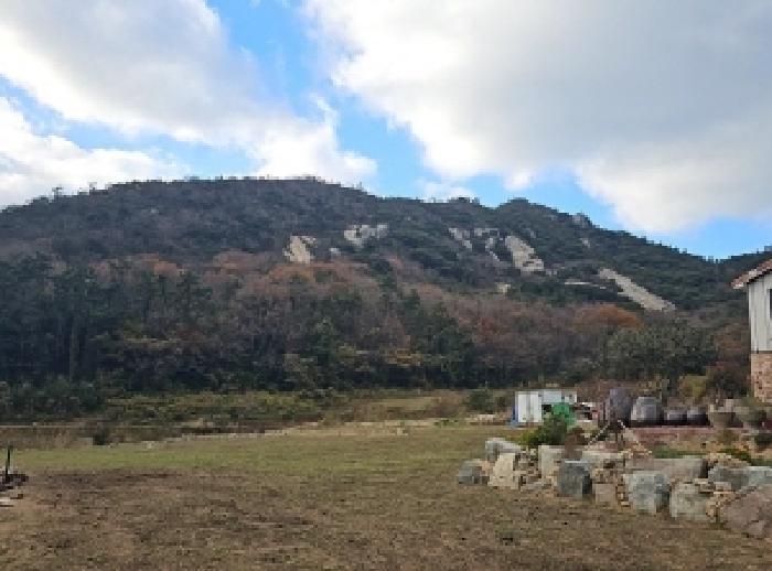 전라남도 진도군 조도면 신육리 산13 임야 경매 사진 19
