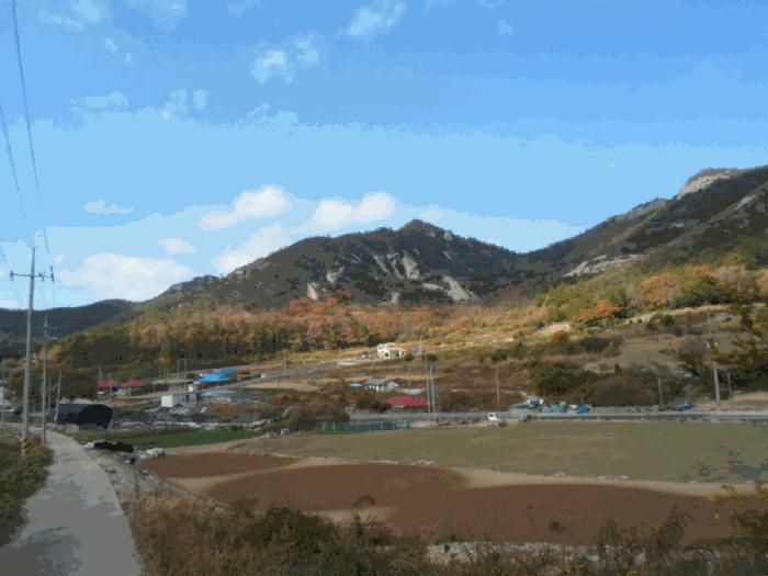 전라남도 진도군 조도면 신육리 산13 임야 경매 사진 8