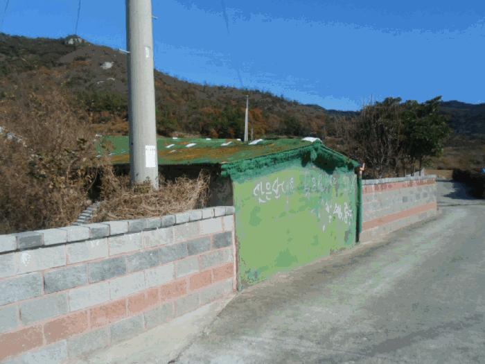 전라남도 진도군 조도면 신육리 산13 임야 경매 사진 9