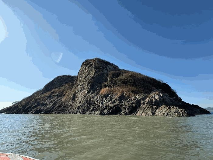 전라남도 진도군 진도읍 산월리 산151 임야 경매 사진 1