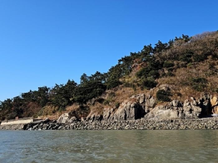 전라남도 진도군 진도읍 산월리 산151 임야 경매 사진 12