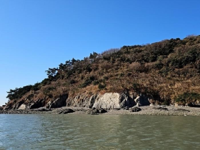 전라남도 진도군 진도읍 산월리 산151 임야 경매 사진 13
