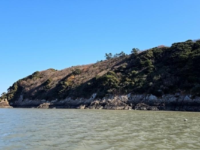 전라남도 진도군 진도읍 산월리 산151 임야 경매 사진 16