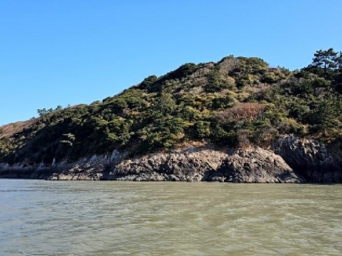 전라남도 진도군 진도읍 산월리 산151 임야 경매 사진 17