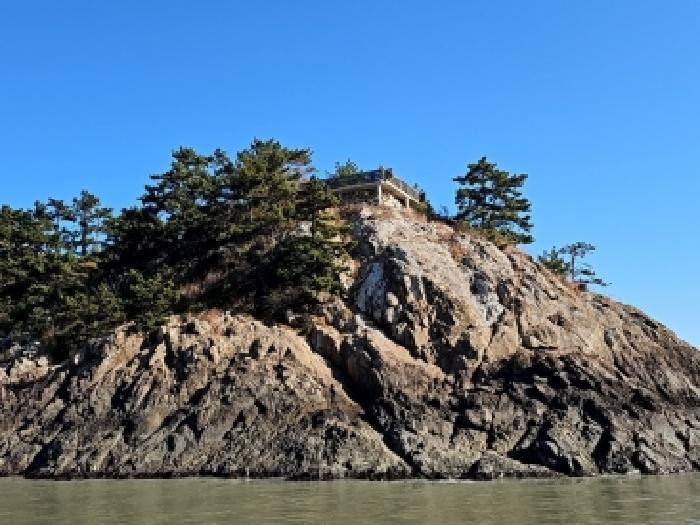 전라남도 진도군 진도읍 산월리 산151 임야 경매 사진 18