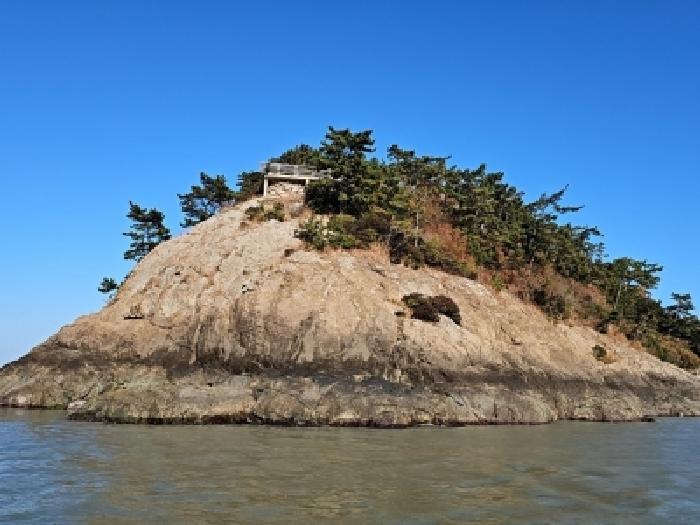 전라남도 진도군 진도읍 산월리 산151 임야 경매 사진 19