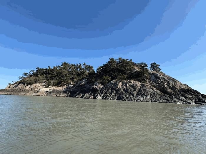 전라남도 진도군 진도읍 산월리 산151 임야 경매 사진 2
