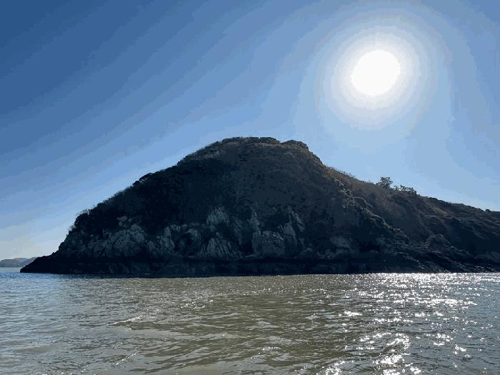 전라남도 진도군 진도읍 산월리 산151 임야 경매 사진 3