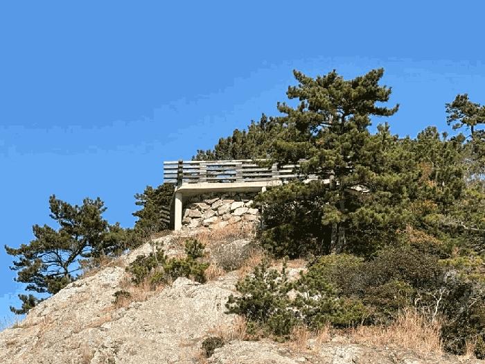 전라남도 진도군 진도읍 산월리 산151 임야 경매 사진 6