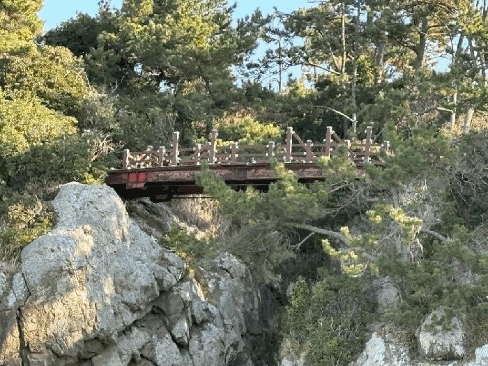 전라남도 진도군 진도읍 산월리 산151 임야 경매 사진 7