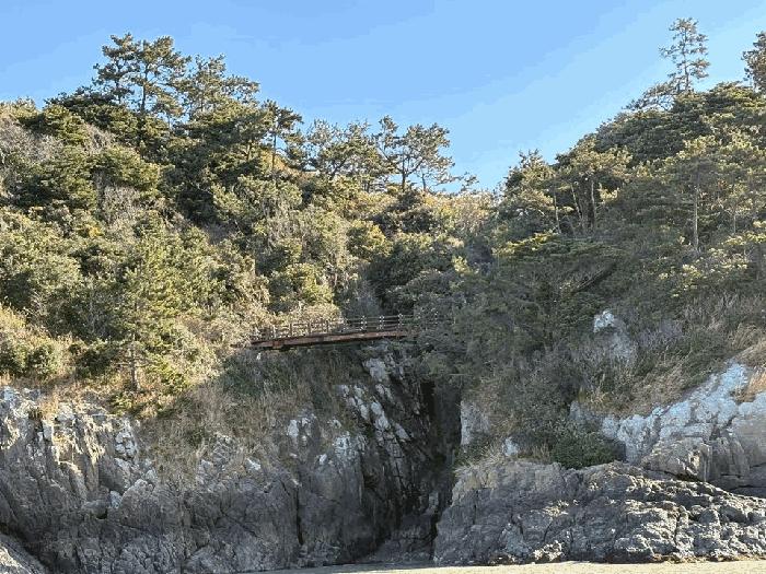 전라남도 진도군 진도읍 산월리 산151 임야 경매 사진 8