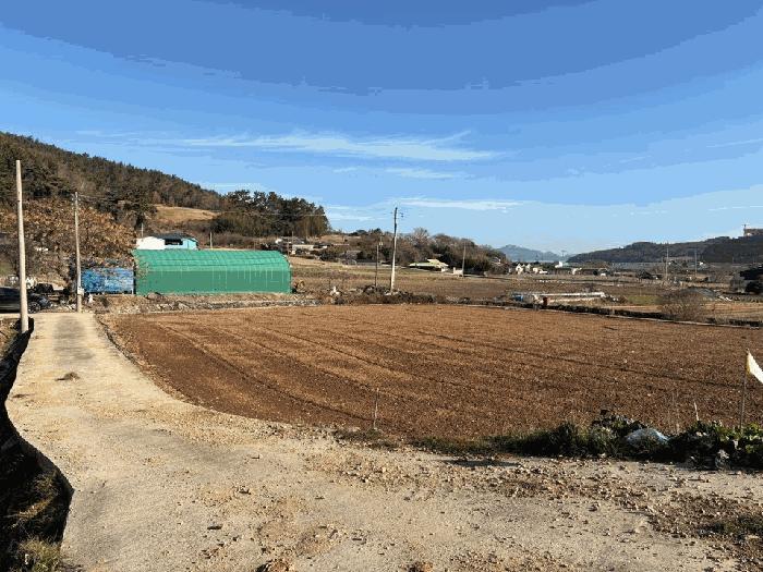 전라남도 해남군 화원면 매월리 302 전 경매 사진 5
