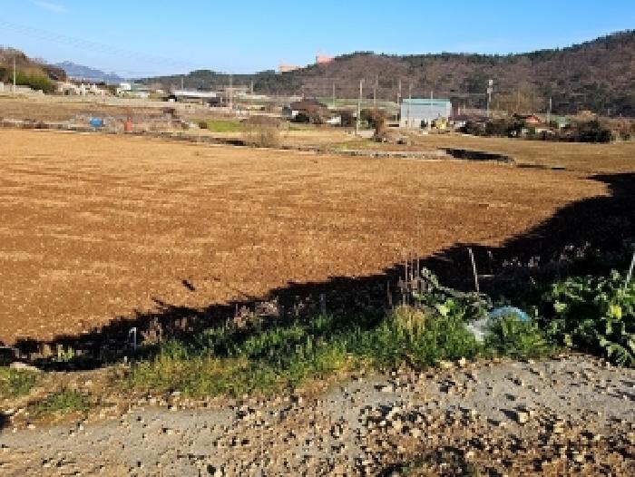 전라남도 해남군 화원면 매월리 302 전 경매 사진 9