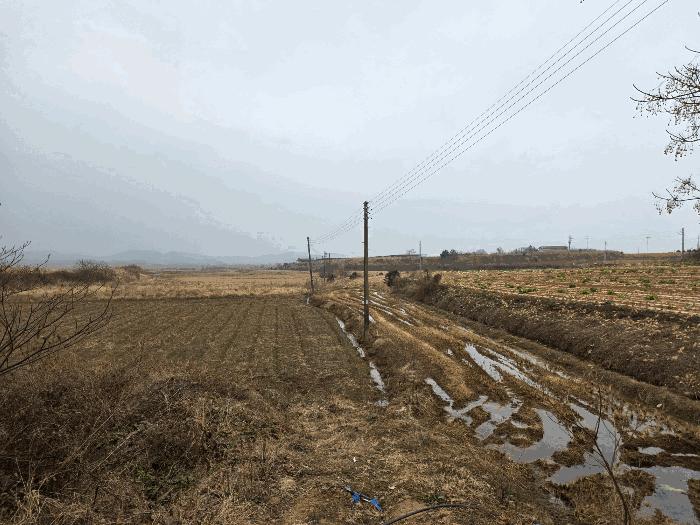 전라남도 해남군 산이면 예정리 19 답 경매 사진 1