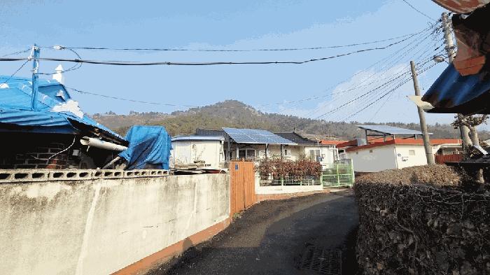 전라남도 진도군 의신면 옥대리 841 대지 경매 사진 5