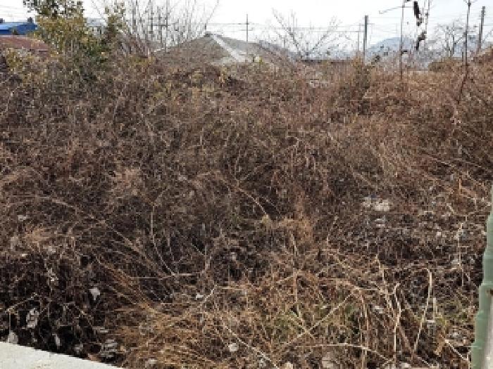 전라남도 진도군 의신면 옥대리 841 대지 경매 사진 6