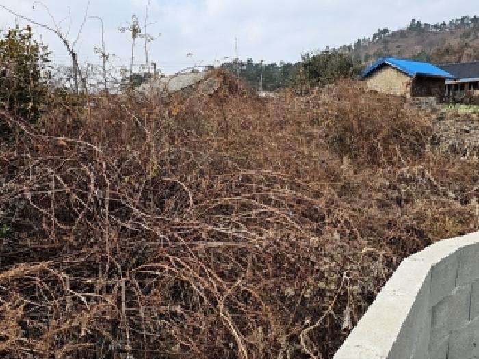 전라남도 진도군 의신면 옥대리 841 대지 경매 사진 7