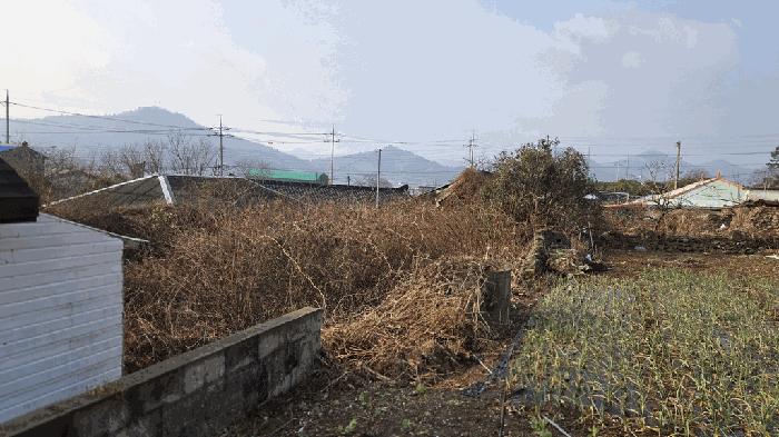 전라남도 진도군 의신면 옥대리 841 대지 경매 사진 8