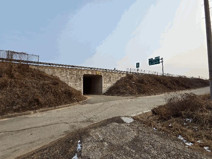 충청남도 천안시 동남구 목천읍 운전리 산62 임야 경매 사진 2