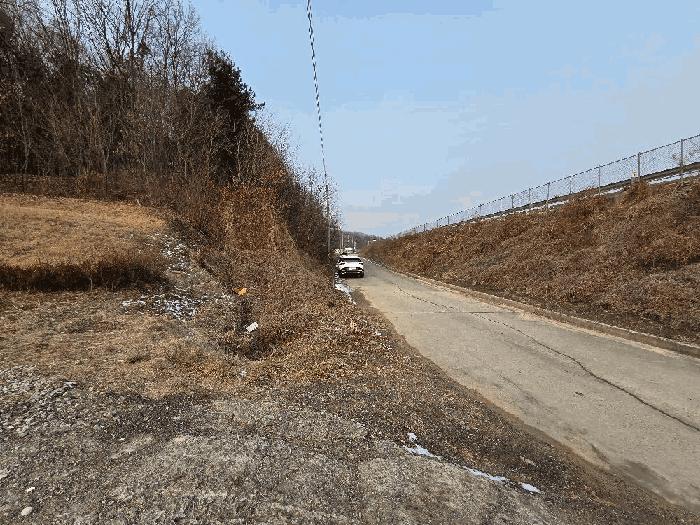 충청남도 천안시 동남구 목천읍 운전리 산62 임야 경매 사진 3