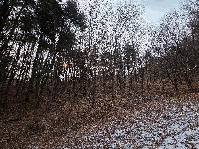 충청남도 천안시 동남구 목천읍 운전리 산62 임야 경매 사진 5