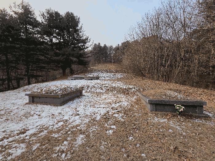충청남도 천안시 동남구 목천읍 운전리 산62 임야 경매 사진 6