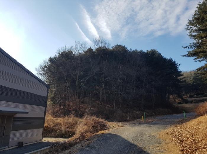 충청남도 천안시 동남구 목천읍 운전리 산62 임야 경매 사진 7