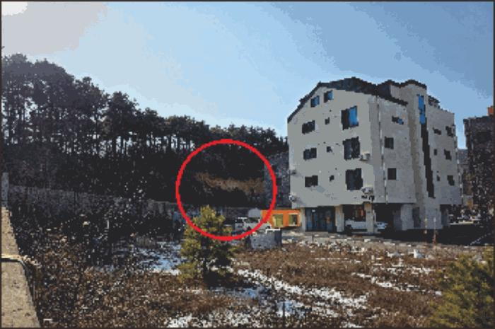 충청남도 천안시 동남구 풍세면 용정리 853-117 임야 경매 사진 1