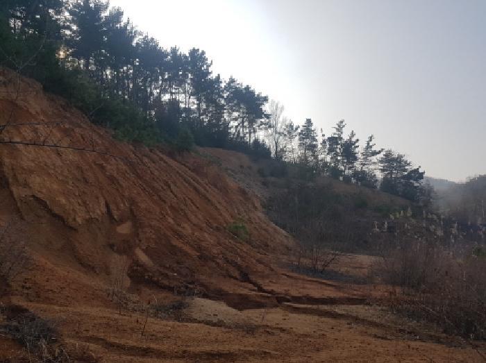 충청남도 천안시 동남구 풍세면 용정리 853-117 임야 경매 사진 10