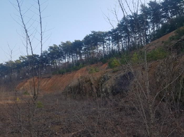 충청남도 천안시 동남구 풍세면 용정리 853-117 임야 경매 사진 11