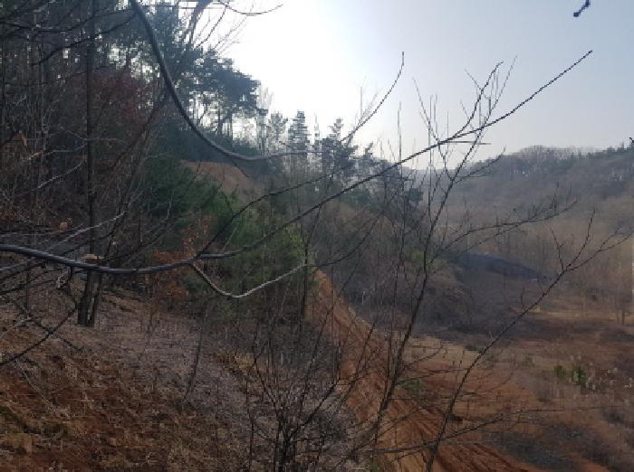 충청남도 천안시 동남구 풍세면 용정리 853-117 임야 경매 사진 13