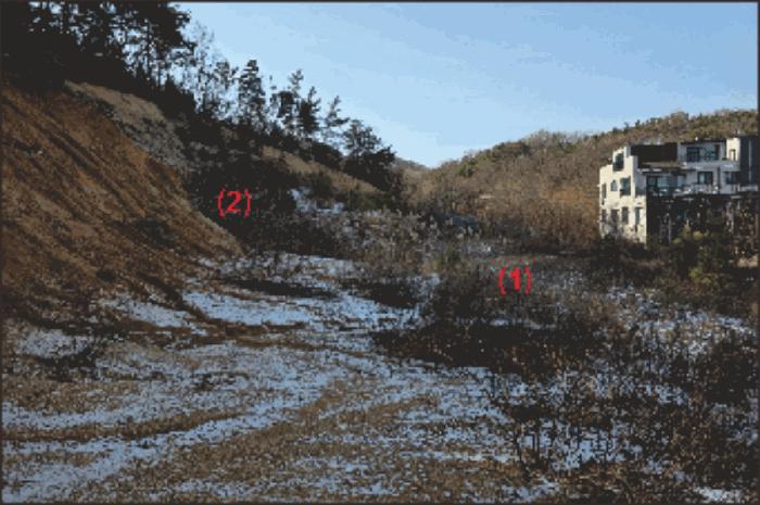 충청남도 천안시 동남구 풍세면 용정리 853-117 임야 경매 사진 5