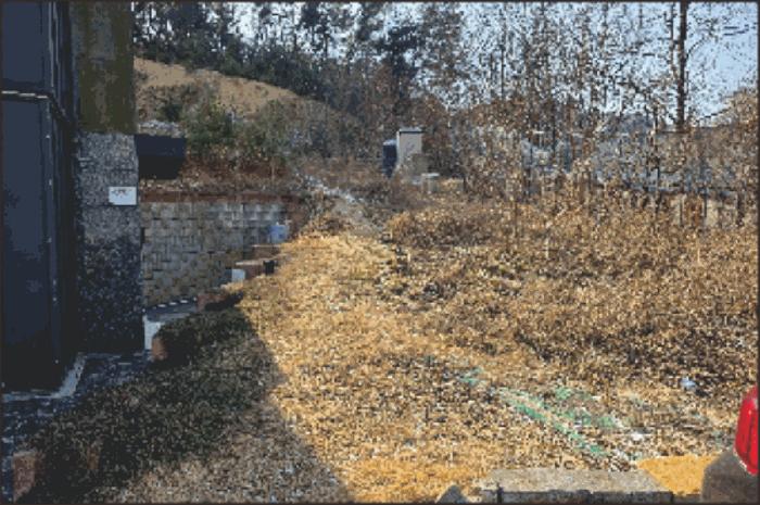 충청남도 천안시 동남구 풍세면 용정리 853-117 임야 경매 사진 6