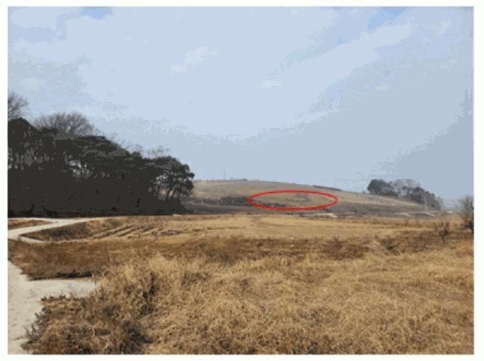 충청남도 아산시 인주면 관암리 210-3 전 경매 사진 1