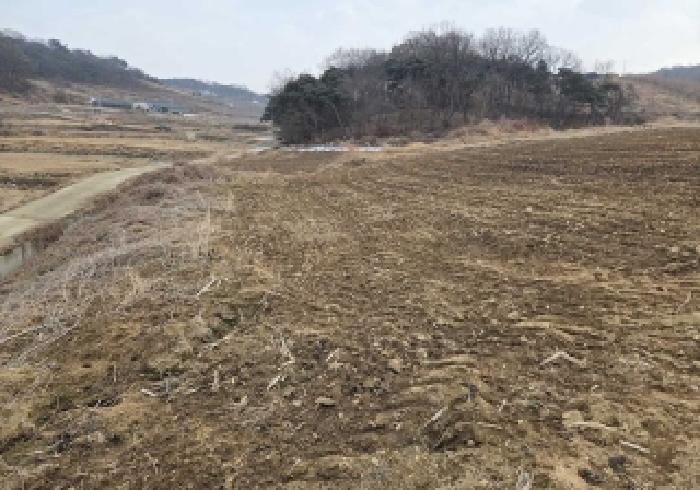 충청남도 아산시 인주면 관암리 210-3 전 경매 사진 11