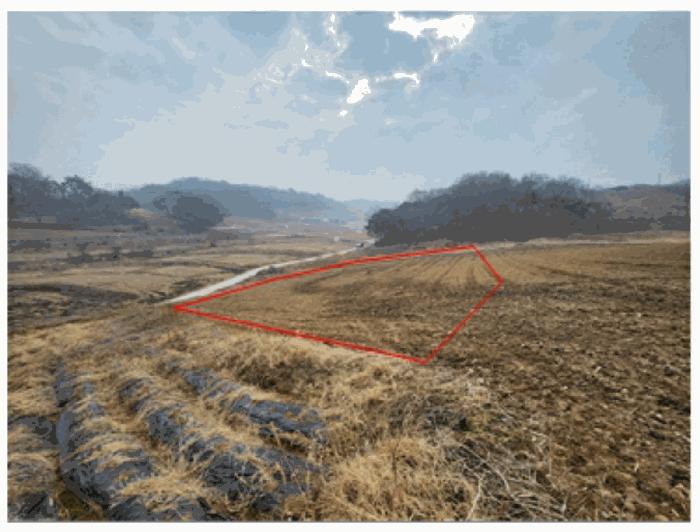 충청남도 아산시 인주면 관암리 210-3 전 경매 사진 2